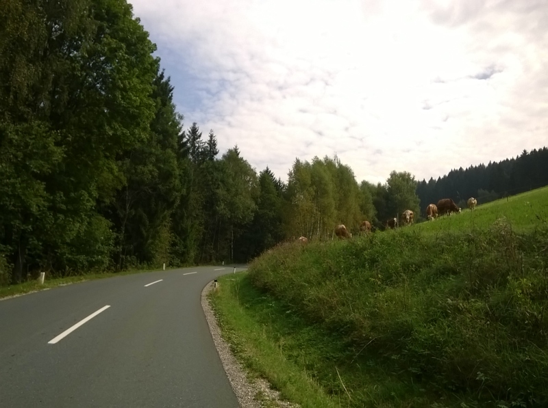 wp_20160911_060
