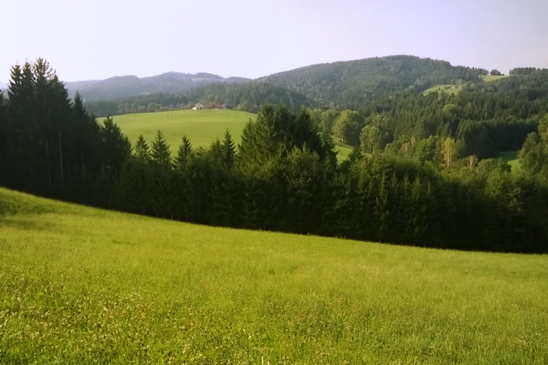 wp_20160911_123