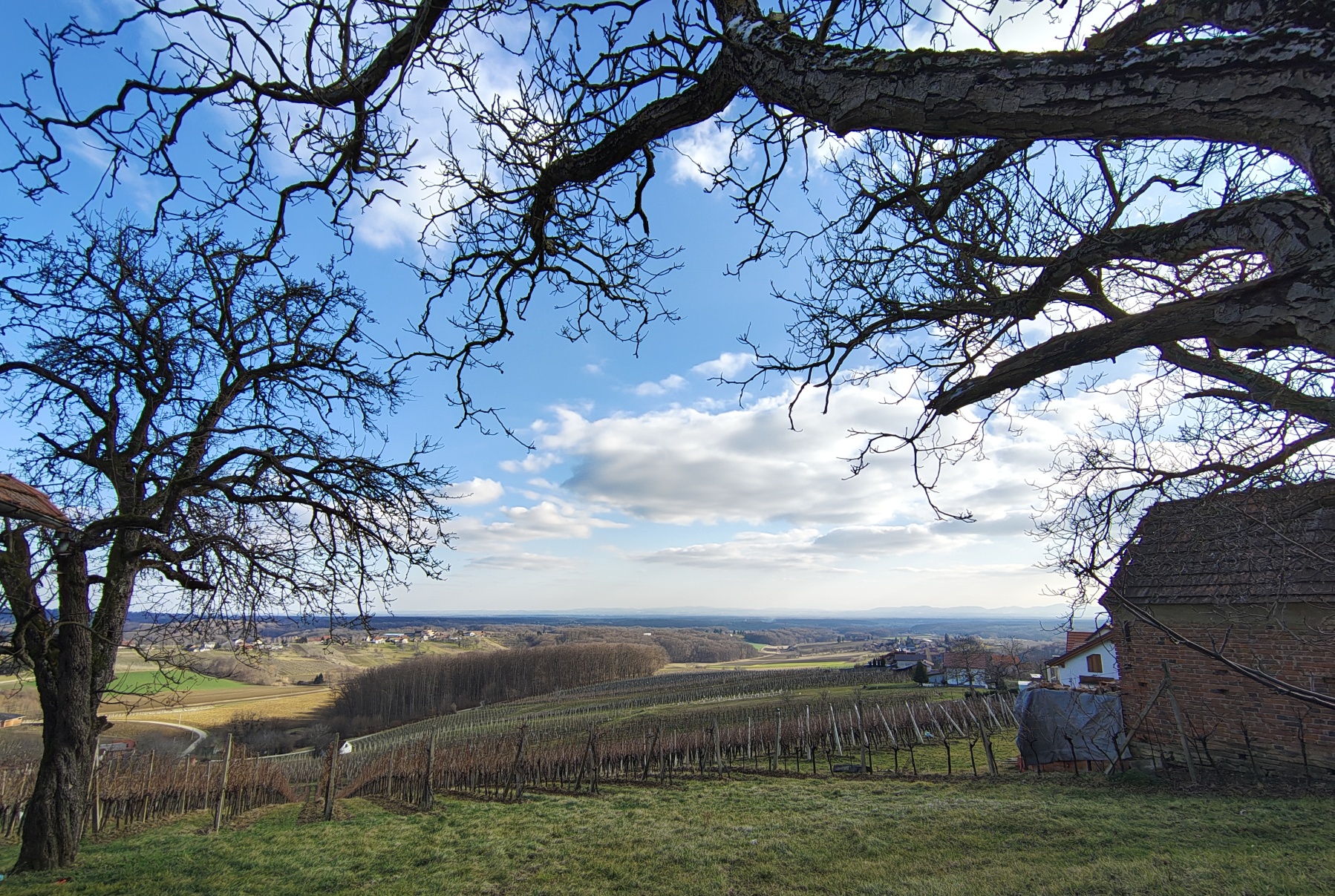 Sjećanje na 2025. siječanj i veljača