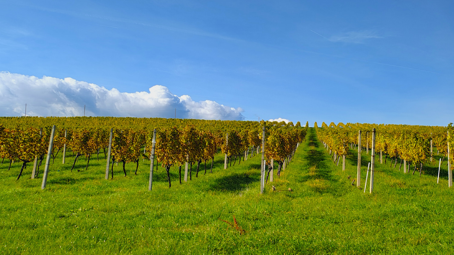 Sjećanje na 2025. Rujan i listopad.