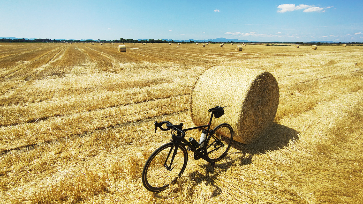 Sjećanje na 2025. Srpanj i Kolovoz.