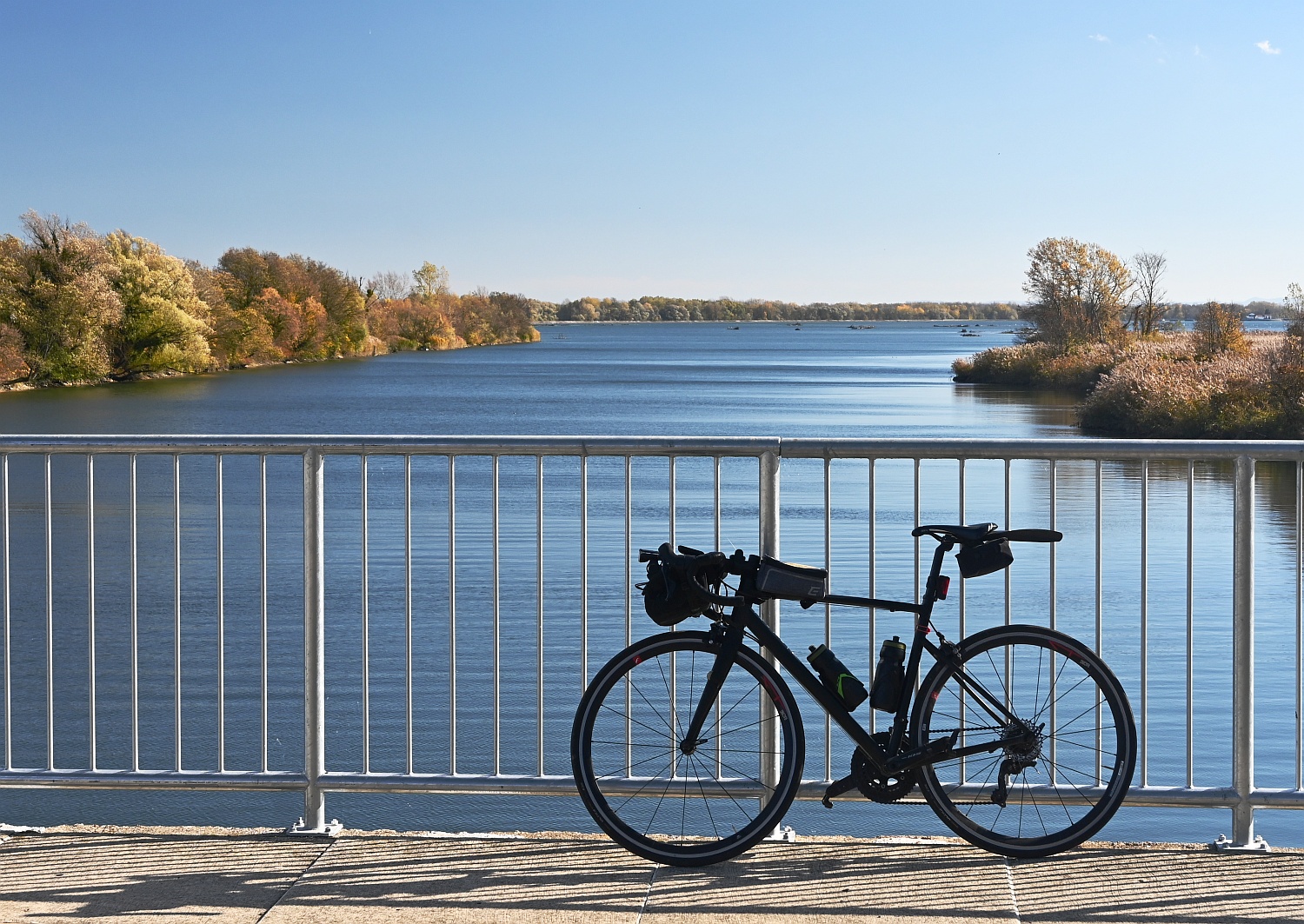Sjećanje na 2025. Studeni, prosinac i cijela godina.